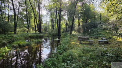 5000 m2 działki budowlanej w malowniczej Jurze - Zdów  -
śląskie Zdjęcie nr 12