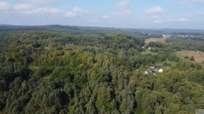 5000 m2 działki budowlanej w malowniczej Jurze - Zdów  -
śląskie Zdjęcie nr 3