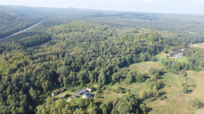 5000 m2 działki budowlanej w malowniczej Jurze - Zdów  -
śląskie Zdjęcie nr 5