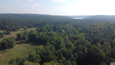 5000 m2 działki budowlanej w malowniczej Jurze - Zdów  -
śląskie Zdjęcie nr 6