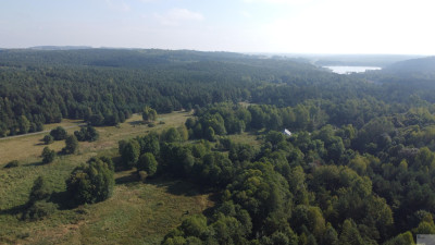 5000 m2 działki budowlanej w malowniczej Jurze - Zdów  -
śląskie Zdjęcie nr 7