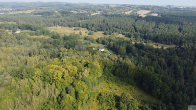 5000 m2 działki budowlanej w malowniczej Jurze - Zdów  -
śląskie Zdjęcie nr 8