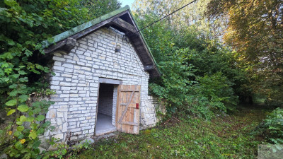 5000 m2 działki budowlanej w malowniczej Jurze - Zdów  -
śląskie Zdjęcie nr 9