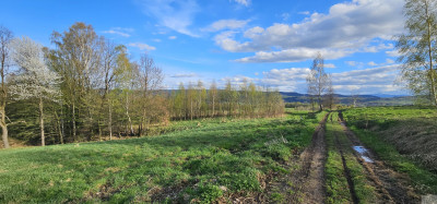 Na skraju wsi z widokiem na Pilsko  - Gilowice  - śląskie