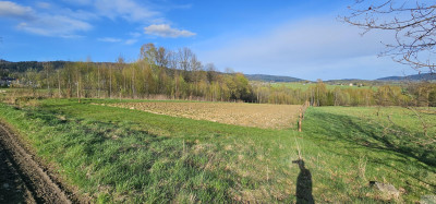 Na skraju wsi z widokiem na Pilsko  - Gilowice  -
śląskie Zdjęcie nr 3