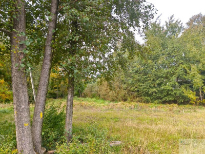 Piękna działka na Podlesiu z gotowym projektem i zgodą na budowę - Katowice  -
śląskie Zdjęcie nr 2