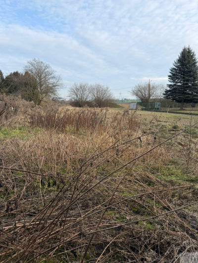 Miejsce na Twój DOM lub działka pod inwestycję - Chełm Śląski  -
śląskie Zdjęcie nr 7