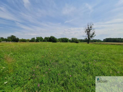 Działka rolno-budowlana - Adamów Drwalewski  -
mazowieckie Zdjęcie nr 2