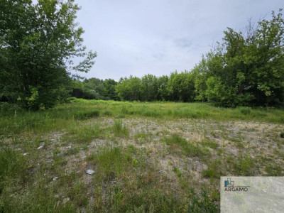 Działka rolno-budowlana - Adamów Drwalewski  -
mazowieckie Zdjęcie nr 3