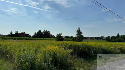 Mysłowice -to miejsce to inwestycja w przyszłość - Mysłowice  -
śląskie Zdjęcie nr 4