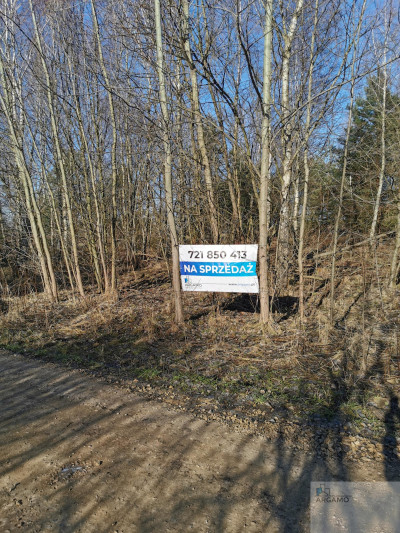 Wspaniałe miejsce na DOM lub inwestycję - Mysłów  -
śląskie Zdjęcie nr 2