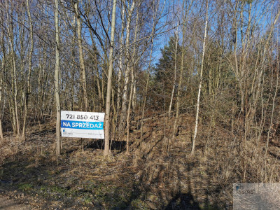 Wspaniałe miejsce na DOM lub inwestycję - Mysłów  -
śląskie Zdjęcie nr 4