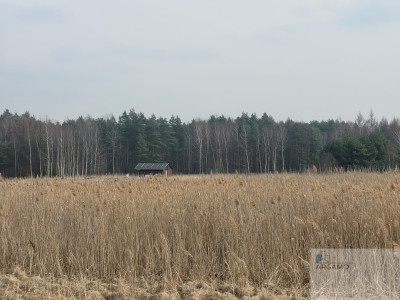 Działka budowlana - Ciągowice  -
śląskie Zdjęcie nr 4