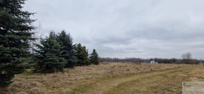 działka Rolna lub weekendowy CHILL - Bieruń  - śląskie