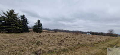 działka Rolna lub weekendowy CHILL - Bieruń  -
śląskie Zdjęcie nr 3