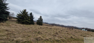 działka Rolna lub weekendowy CHILL - Bieruń  -
śląskie Zdjęcie nr 4