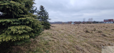 działka Rolna lub weekendowy CHILL - Bieruń  -
śląskie Zdjęcie nr 6