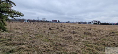 działka Rolna lub weekendowy CHILL - Bieruń  -
śląskie Zdjęcie nr 7