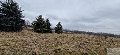 działka Rolna lub weekendowy CHILL - Bieruń  -
śląskie Zdjęcie nr 8
