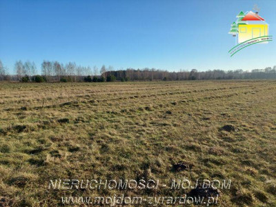 Działka budowlana - Aleksandria  -
Mazowieckie Zdjęcie nr 4