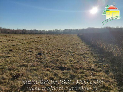 Działka budowlana - Aleksandria  -
Mazowieckie Zdjęcie nr 5