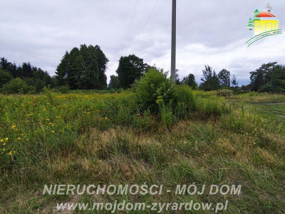 Działka budowlana w Henryszewie - Henryszew  -
Mazowieckie Zdjęcie nr 3