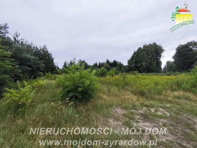 Działka budowlana w Henryszewie - Henryszew  -
Mazowieckie Zdjęcie nr 6