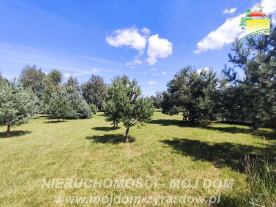 Działka rolno-budowlana - Stary Karolinów  -
Mazowieckie Zdjęcie nr 10