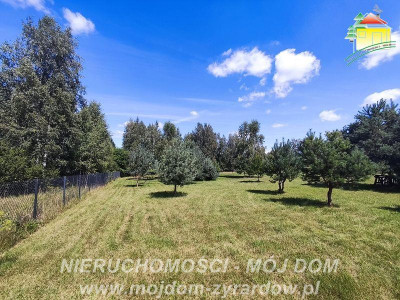 Działka rolno-budowlana - Stary Karolinów  -
Mazowieckie Zdjęcie nr 11