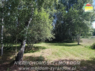 Działka rolno-budowlana - Stary Karolinów  -
Mazowieckie Zdjęcie nr 6