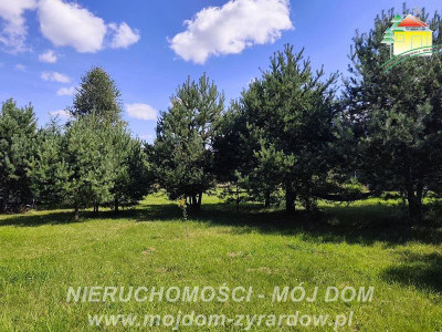 Działka rolno-budowlana - Stary Karolinów  -
Mazowieckie Zdjęcie nr 8