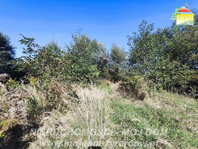 Duża działka budowlana- idealna dla inwestora - Korytów A  -
Mazowieckie Zdjęcie nr 4