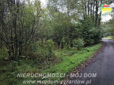 Działka z warunkami zabudowy w leśnej okolicy - Franciszków  - Mazowieckie