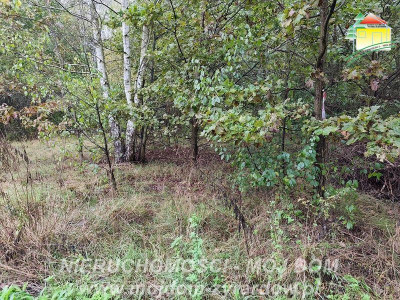 Działka z warunkami zabudowy w leśnej okolicy - Franciszków  -
Mazowieckie Zdjęcie nr 2