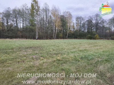 Działka budowlana w pięknej okolicy - Radziwiłłów  -
Mazowieckie Zdjęcie nr 3