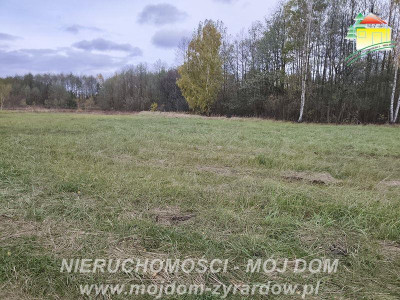 Działka budowlana w pięknej okolicy - Radziwiłłów  -
Mazowieckie Zdjęcie nr 4