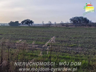 Kilka ładnych działek budowlanych w Korytowie - Korytów  - Mazowieckie