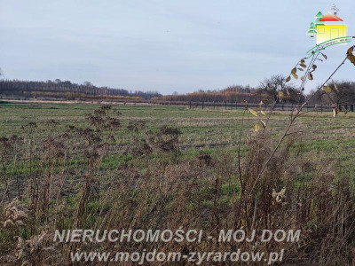 Kilka ładnych działek budowlanych w Korytowie - Korytów  -
Mazowieckie Zdjęcie nr 4