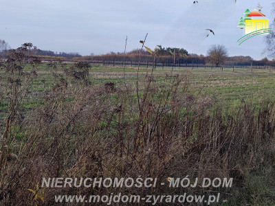 Kilka ładnych działek budowlanych w Korytowie - Korytów  -
Mazowieckie Zdjęcie nr 5