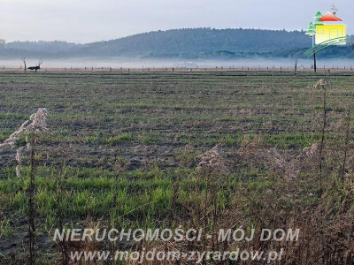Kilka ładnych działek budowlanych w Korytowie - Korytów  -
Mazowieckie Zdjęcie nr 6