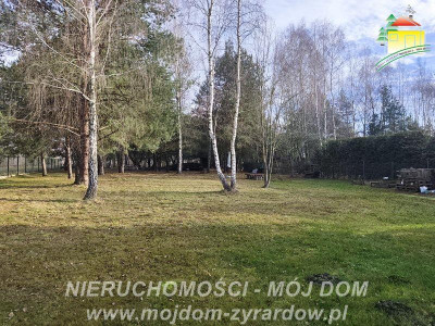 Urocza działka w m Antoniew leśna okolica - Antoniew  -
Mazowieckie Zdjęcie nr 10