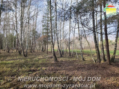 Urocza działka w m Antoniew leśna okolica - Antoniew  -
Mazowieckie Zdjęcie nr 2