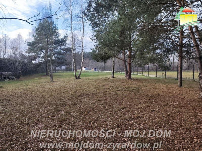 Urocza działka w m Antoniew leśna okolica - Antoniew  -
Mazowieckie Zdjęcie nr 3