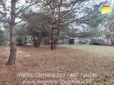 Urocza działka w m Antoniew leśna okolica - Antoniew  -
Mazowieckie Zdjęcie nr 8