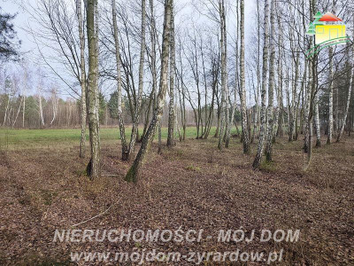 Urocza działka w m Antoniew leśna okolica - Antoniew  -
Mazowieckie Zdjęcie nr 9