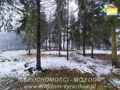 Działka budowlana - Kuranów  - Mazowieckie