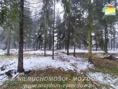 Działka budowlana - Kuranów  -
Mazowieckie Zdjęcie nr 3