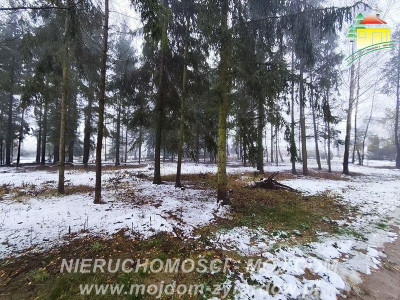 Działka budowlana - Kuranów  -
Mazowieckie Zdjęcie nr 4