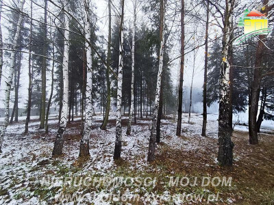 Działka budowlana - Kuranów  -
Mazowieckie Zdjęcie nr 6