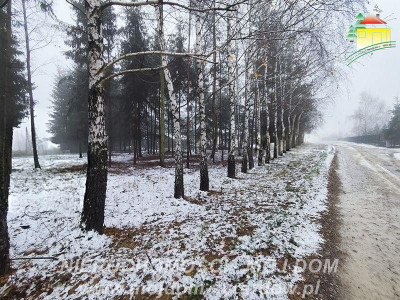 Działka budowlana - Kuranów  -
Mazowieckie Zdjęcie nr 7